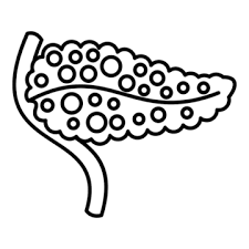 ERCP
